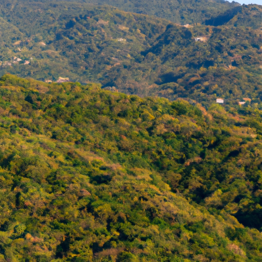 Exploring Puerto Vallarta Rainforests: A 2023 Adventure Guide