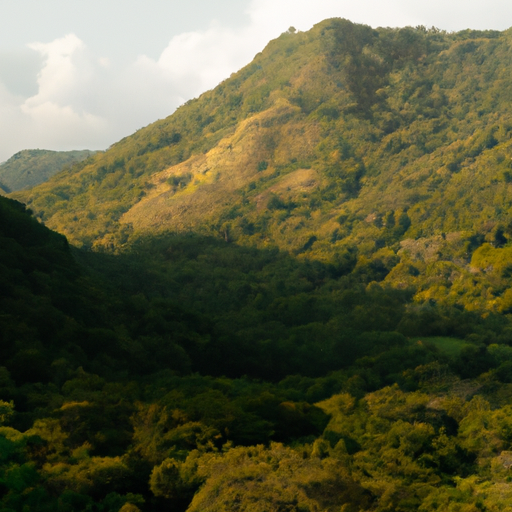 2023 Guide to Puerto Vallarta Rainforest: Activities, Wildlife & Trails