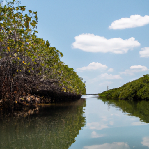 Discover the Hidden Gem: Puerto Vallarta’s Mangrove Preserve 2023